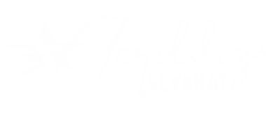 Üçyıldız Seyahat Beyaz Logo - Ankara Taşımacılık Şirketi